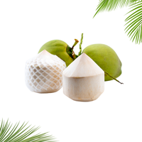 Los Cocos jóvenes frescos, con forma de diamante y superficie pulida, ofrecen un volumen de proteína que va de 250 a 300 ml por pieza