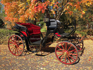 Royal Presidential Horse-Drawn Carriage Luxury Coach/Carriage Classic Modern Style Portable Feature Steel para America UK Queen - Product Image 6