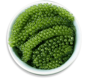 หม้อไอน้ำจากเวียดนาม - Product Image 1