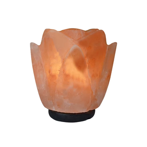 Lámparas de sal del Himalaya ecológicas de alta calidad, cabeza de caballo, forma de flor, estilo moderno hecho a mano, superventas, hecho en línea, Pakistán - Product Image 1