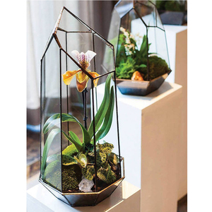 Gran oferta, soporte para plantas de aire interior, ventana, balcón, pantalla, maceta para flores suculentas, Terrario de cristal, maceta geométrica Irregular - Product Image 5