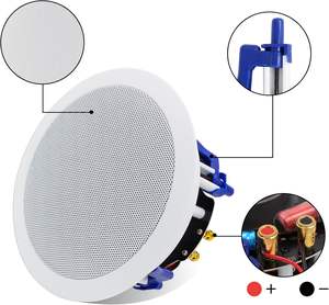 Haut-parleur Hi-Fi passif encastrable 5,25 pouces pour cinéma maison, système audio encastré au plafond, installation encastrée, OEM/ODM disponible – Fournisseur d'usine - Product Image 1