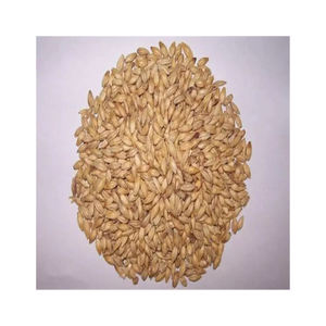 Malt énergique d'orge belge de qualité supérieure de haute qualité et ingrédients pour l'alimentation animale avec une durée de conservation de 2 ans - Product Image 5