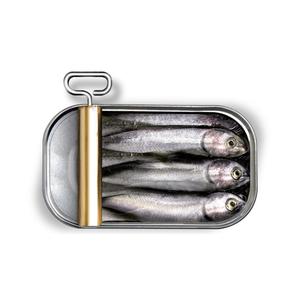 Sardinas Enlatadas de la Mejor Calidad a Precio de Oferta, Cuerpo Entero en Aceite Vegetal con Ingredientes Naturales - Product Image 4