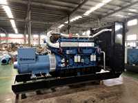 1000kW Yuchai Erdgas-Generatorset SE1000NF mit Autostart, Fernstart, Biogas-kompatibel, DC-Elektrostart, 95% Effizienz