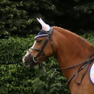 Voile anti-mouches pour cheval en maille de haute qualité, design personnalisé, bonnet d'oreille, produit d'équitation avec couleur personnalisée - Product Image 3