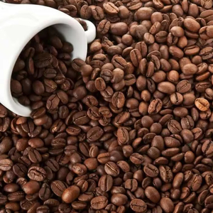 Café Molido Tostado Arábica Especial, Grado G1/G2, Marca TNFOOD, 100% Natural, Certificado ISO 22000, Lam Dong, Vietnam, Exportación a Granel - Product Image 1