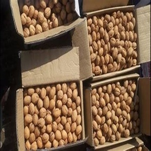 Premium Grade Raw Organic Air-Dried <b>Walnuts</b> at Competitive Price Packaged in Cartons - Product Image 6