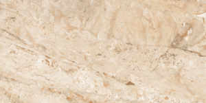 Les carreaux de décoration extérieure au design moderne les plus populaires en céramique de porcelaine fabriquée en Inde pour les garages à prix réduits! - Product Image 3