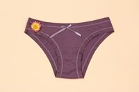 Women Sexy Underwear Summer Half Slips Cotton Knitted Seamless Apparel Panty Supplier in alibaba