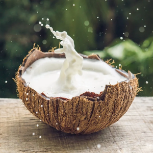 Leche de coco a granel | Larga Vida Útil | Grado alimenticio - Product Image 5