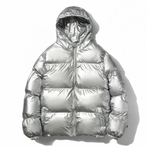 2025 nouvelle mode hiver en plein air hommes manteau vers le bas matelassé brillant doudoune pour hommes 100% Nylon hommes duvet d'oie rembourrage bulle - Product Image 2