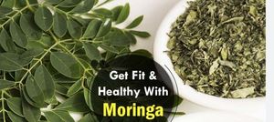 Wholesale Exporters High Quality Wild Moringa <b>Powder</b> ISO Certified Vacuum Packed Maintaining <b>Body</b> Health Best Price - Product Image 4