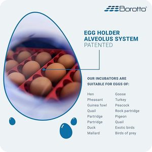 Borotto Medium-Sized 49 <b>Eggs</b> <b>Incubator</b> Thermostat Made in Italy Real 49 Plus Automatic Professional <b>Egg</b> <b>Incubator</b> 110-120V - Product Image 3