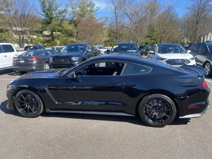 2016 Ford Shelby GT350 Base seminuevo usado AUTO listo para conducir sin accidentes bajo kilometraje Turbo motor R17 tamaño del neumático izquierdo AWD - Product Image 4