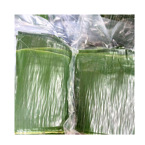 Hojas de plátano congeladas para envolver la cocina tradicional Embalaje ecológico Alternativa a la exportación de plástico - Product Image 6