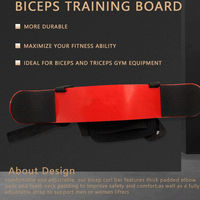 Levantamiento de pesas Color personalizado y logotipo Arm Blaster Gym Fitness Workout Ajustable Bicep Ejercicio Arm Blaster