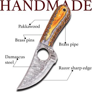Cuchillo de caza de supervivencia para acampar al aire libre profesional, hoja de acero de Damasco personalizable, mango de madera Pakka OEM de acero inoxidable - Product Image 2