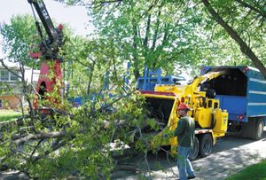 Broyeur à bois BC2100XL À VENDRE - Product Image 3