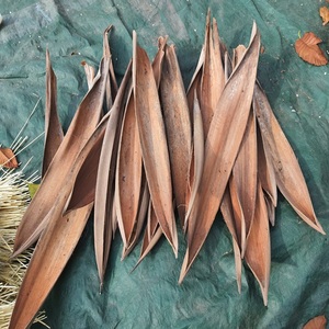 จานทรงอาหารรูปโบทานิคัลจากธรรมชาติแบบต้นโกโก้ของตกแต่งบ้านไม่เหมือนใครพร้อมที่ใส่น้ำชาถ้วยดอกไม้แห้งสำหรับงานแต่งงาน - Product Image 5