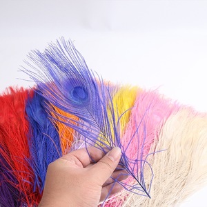 Lông đuôi công 25cm-30cm - Product Image 2