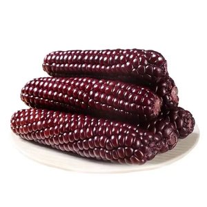 Prix de gros Qualité Supérieure Meilleure Vente Exportateurs de Maïs Doux Frais Couleur Jaune Naturel - Product Image 1