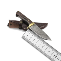 Couteau de chasse et de survie à lame fixe pleine longueur, manche en os coloré avec clip en laiton, acier Damas, pour extérieur, OEM SIZZCO