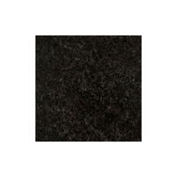 Dernière arrivée Granit de haute qualité Granit noir de taille personnalisée disponible à un prix abordable
