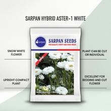 เมล็ดพันธุ์ SARPAN HYBRID ASTER-AST-1 ผลิตภัณฑ์ดอกไม้สดตัดดอก - Product Image 2