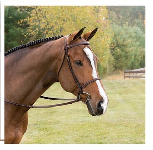 Belle bride anatomique pour dressage Rembourrage doux et produits pour chevaux confortables - Product Image 5