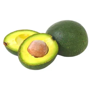 Fresh Avocado For Worldwide Export - Fresh Avocado at Best Price for Wholesaler