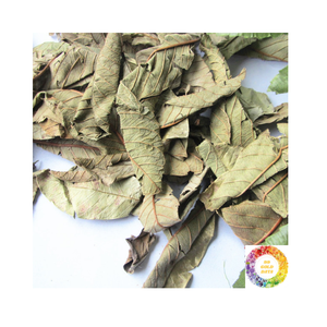 ชาใบฝรั่งแบบแห้งสำหรับคนรักชาผสมสมุนไพรแบบพรีเมี่ยมบรรจุแบบกำหนดเอง - Product Image 4