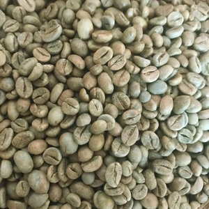 Granos de Café Verde Robusta Orgánico Grado A+ Certificado ISO 22000 Marca TNFOOD 100% Natural Exportación a Granel Fábrica de Vietnam 1000kg - Product Image 1