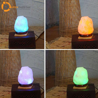 Lampes en sel de l'Himalaya sculptées à la main de haute qualité, forme naturelle, attrape-rêves, décoration de Noël pour la maison, IMPEX PAKISTAN