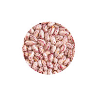 Haricots de sucre emballés en sacs en vrac pour une livraison mondiale