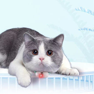 Jouet pour chat interactif moderne et amusant avec lumière laser LED USB, collier auto-entretenant en TPR écologique, vente en gros - Product Image 3