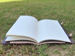 Single Blue Stone Leather Large Bound <b>Book</b> with Gemstone, Hand Made Sketch Single Stone Journal Notebook Leather Diary - Product Image 4