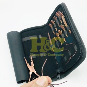 Nuevas llegadas: Kit profesional personalizado de pinzas de acero inoxidable para extensiones de cabello, con estuche, clips y agujas en forma de C para uso comercial. - Product Image 1