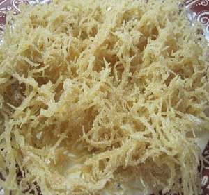 Wild Purple Sun Dried Dried Seamoss Premium Irish Eucheuma Cottonii <b>Seaweed</b> For Gel Dried Seamoss Natural Powder Bulk Supply - Product Image 6