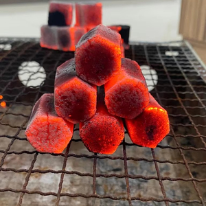 CARBÓN DE COCO SIN HUMO PARA SHISHA CLEAN WHITE ASH TAMAÑOS PERSONALIZABLES NO EXPLOSIVOS - Product Image 1