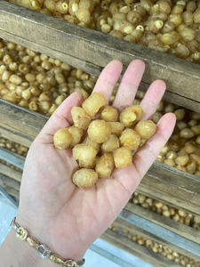 Longan Seco Producido para Exportación al por Mayor, para Distribuidores Internacionales, Supermercados y Empresas de Abastecimiento de Alimentos - Product Image 2