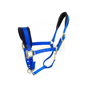 Best Quality Nylon Equestrian Horse <b>Halter</b> With Adjustable Chin and Throat Custom Logo Printed Riding <b>Halter</b> - Product Image 5