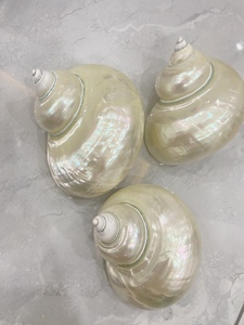 แก้วสลักพลาสติกสำหรับผู้ที่ชื่นชอบไวน์แดงและแชมเปญดีไซน์หรูหราทำด้วยมือพร้อมเปลือกหอยเปลือกหอยธรรมชาติ - Product Image 3