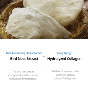 เจเอ็มโซลูชั่น แอคทีฟ ไบร์ดส์ เนสท์ มอยส์เจอร์ มาส์ก ไพร์ม ผลิตในเกาหลี ผลิตภัณฑ์ดูแลผิว ขายส่ง (1 ชิ้น=10 ชิ้น) ผู้จัดจำหน่ายจากเกาหลี - Product Image 5