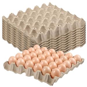 Œufs à couver pour poulets de chair Cobb 500 et Cobb 700 et Ross 308, œufs à couver pour poulets de chair - Product Image 5