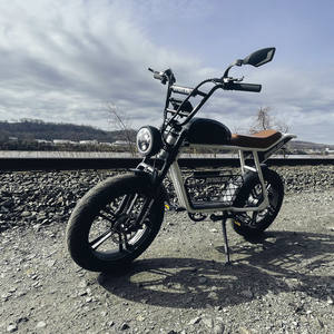 Bicicleta Eléctrica Retro Dynalion 48V 1000W con Motor de Cubo Trasero de 15ah y Ruedas de 20 Pulgadas, Envío Gratis, Bicicleta Eléctrica Rápida - Product Image 5