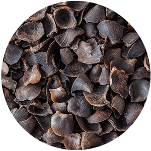 Meilleur prix et livraison rapide des déchets agricoles-Palm Kernel Shell disponible au prix de gros - Product Image 3
