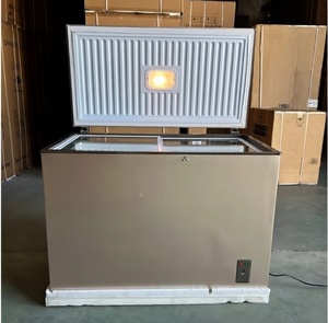 Congélateur coffre 300L écoénergétique haute performance, congélateur horizontal grande capacité à porte unique, équipement de congélation - Product Image 1