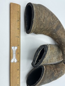 เขาควายน้ำแท้สำหรับสุนัขเคี้ยวได้ฮอร์นแกะจากโรงงานอินเดียคุณภาพดีที่สุด WA + 91 9675995272 - Product Image 4