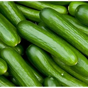 Dưa chuột thái lát Hữu Cơ tươi cấp một chân không đóng gói cho các nhà hàng và quán bar salad - Product Image 2